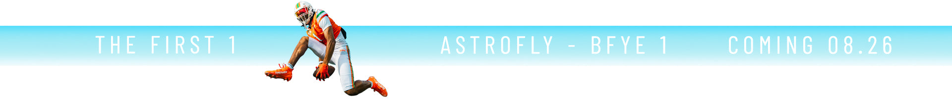 Promotional Banner - Desktop