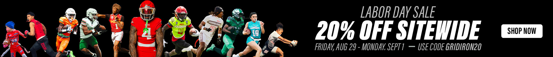 Promotional Banner - Desktop