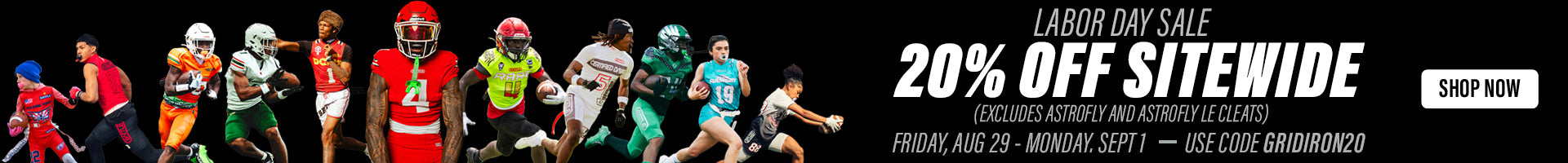 Promotional Banner - Desktop