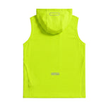 Solar Neon