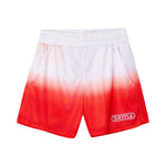 Turbo Fade Mesh Shorts